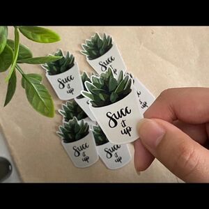 3/$20 Vinyl Glossy Sticker | Plant Sticker | Succ it up |